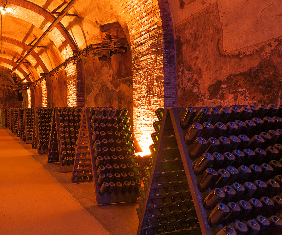 Les meilleurs Champagne sont à la Cave Roosevelt (Lyon 6)